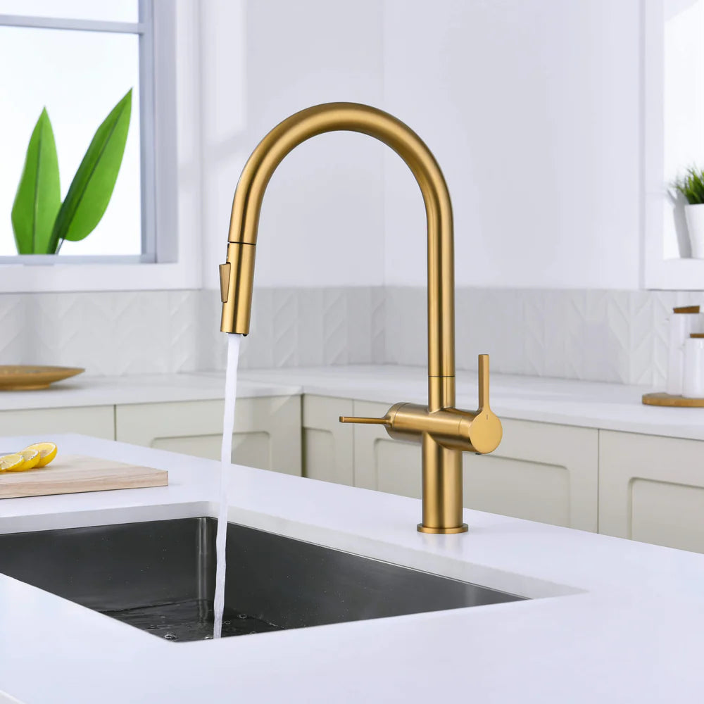 Casa Fixtures - Kitchen Faucet - Neo Single Hole Two Handle Pull Down Kitchen Faucet (CKF-2020)