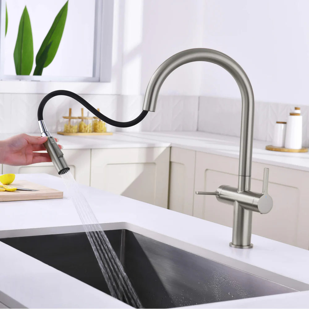 Casa Fixtures - Kitchen Faucet - Neo Single Hole Two Handle Pull Down Kitchen Faucet (CKF-2020)