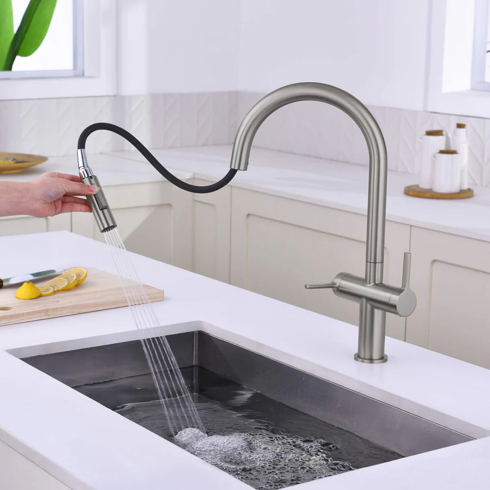 Casa Fixtures - Kitchen Faucet - Neo Single Hole Two Handle Pull Down Kitchen Faucet (CKF-2020)
