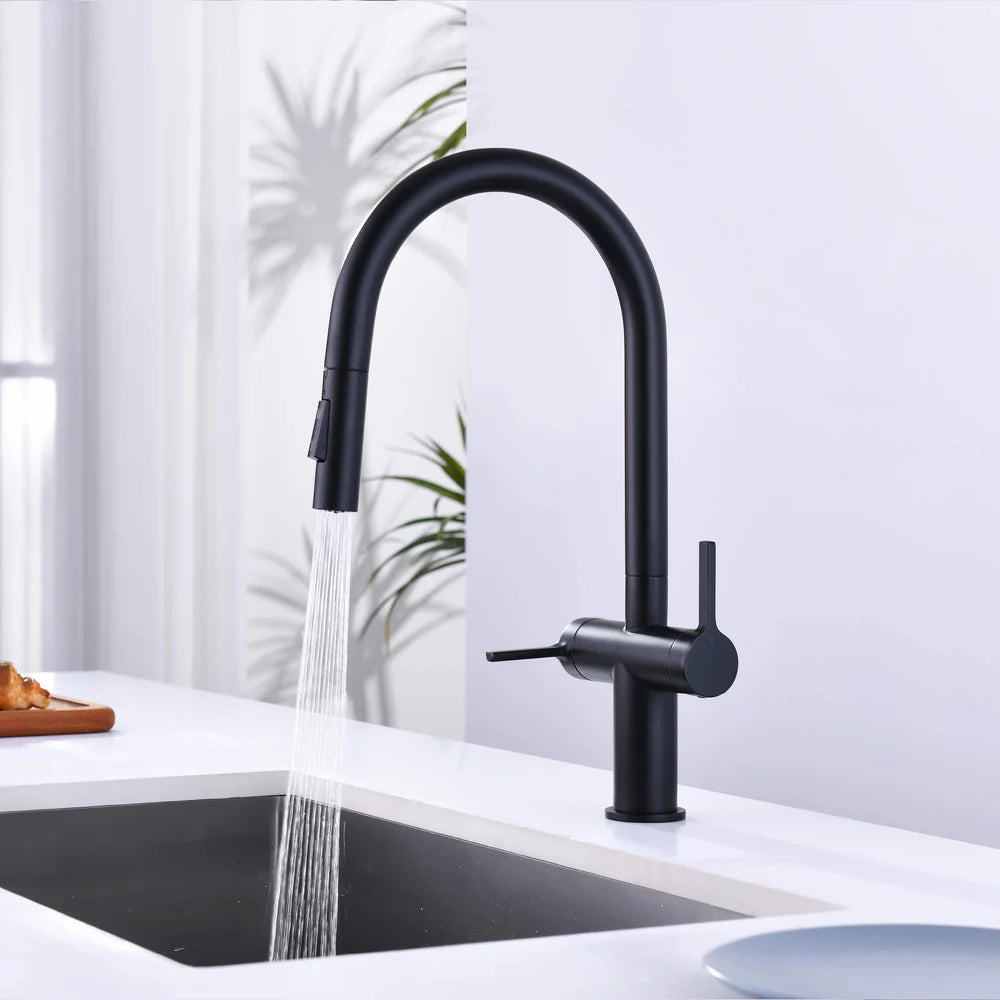 Casa Fixtures - Kitchen Faucet - Neo Single Hole Two Handle Pull Down Kitchen Faucet (CKF-2020)