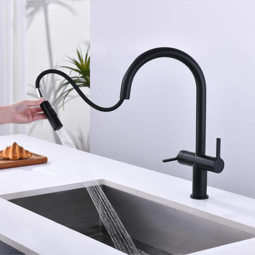 Casa Fixtures - Kitchen Faucet - Neo Single Hole Two Handle Pull Down Kitchen Faucet (CKF-2020)