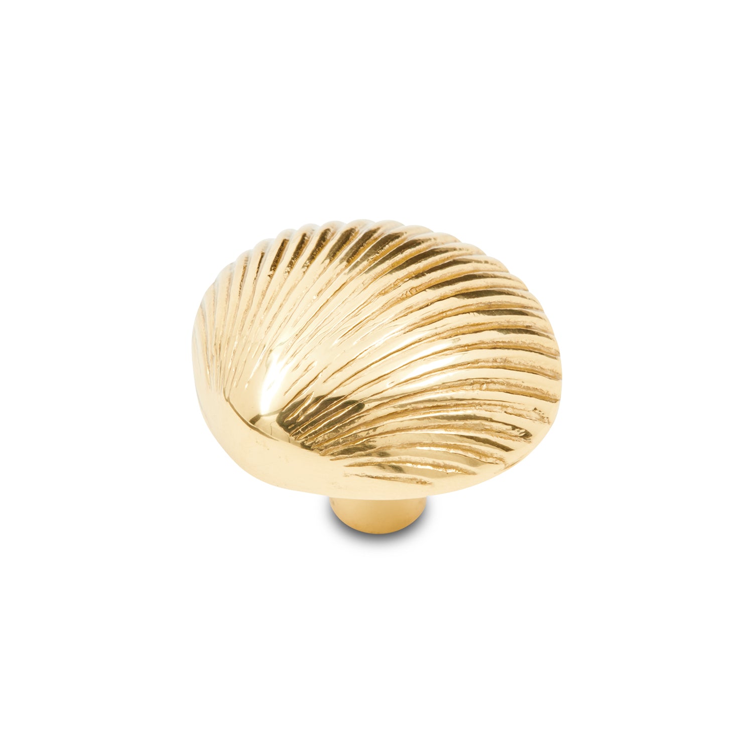 Novelity Shell RK International - Novelty - Shell Cabinet Knob